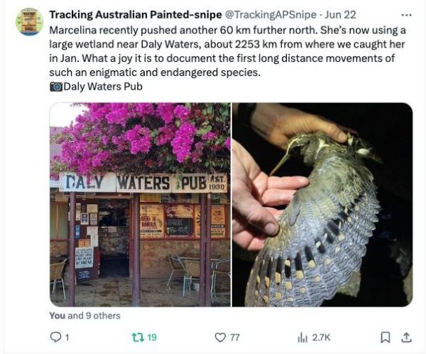 7790�ط����Ź������,����Ұ������׷��,��������׷����,����׷����