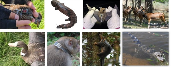 7790�ط����Ź������,����Ұ������׷��,��������׷����,����׷����