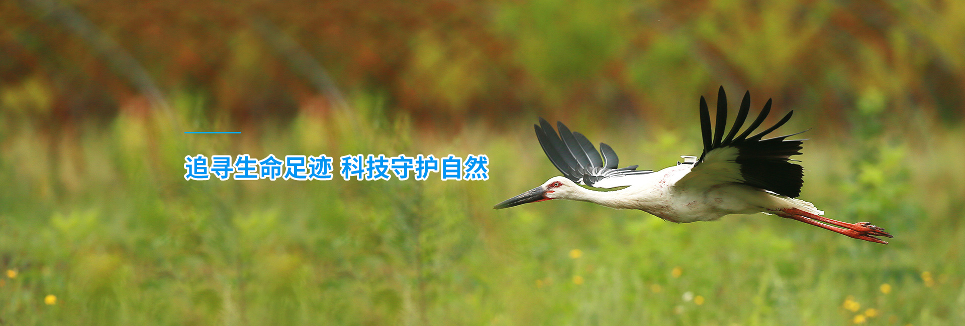 7790�ط����Ź������_����Ұ������׷��|��������׷����