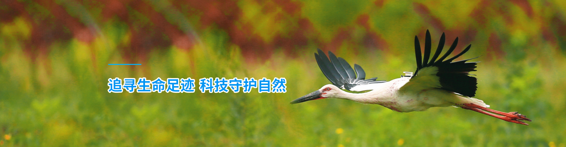 7790�ط����Ź������_����Ұ������׷��|��������׷����